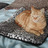 Ginny blanket